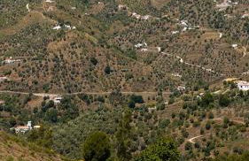 Mirador de Cómpeta - Foto 17