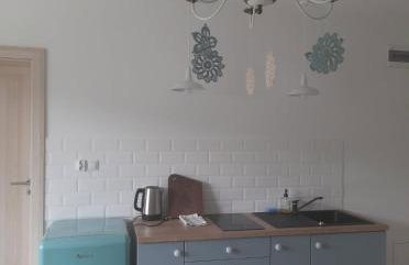 Biała Czapla - Photo 15