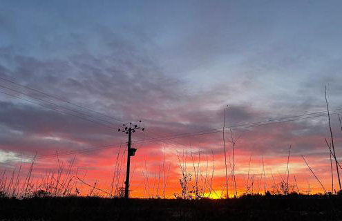 Cosy Cottage - Foto 15