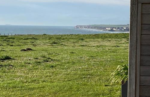 Brise de mer sur la naturelle, Studio à Wimereux , parking - Foto 46