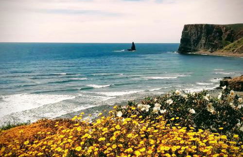 Varandas Guest Apartment - Foto 41