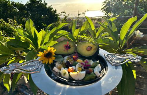 Afrikan Krisant Tenerife, Casa Rural Ecologica - Foto 26