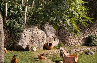 Agroturismo Son Viscos - Foto 30