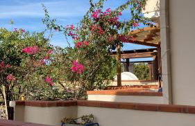 Creúsa de ma Calasetta - Foto 10