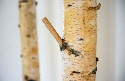 Ferienwohnung Hauzenberg mit Pool & Sauna - Foto 18