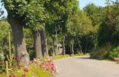 Apartament w Sercu Gór z ogrodem - Foto 23