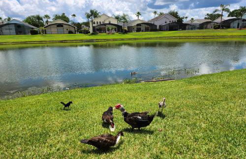 Fully Renovated, Quiet, Spacious Disney Themed Pool Home with Office - Foto 36