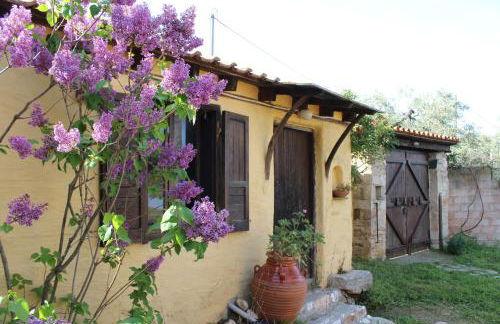 Varias Art House - Foto 41