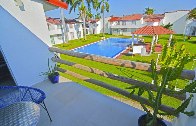 HominngBird - Foto 78