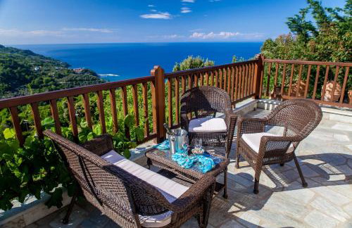 Lions Nine - Foto 15