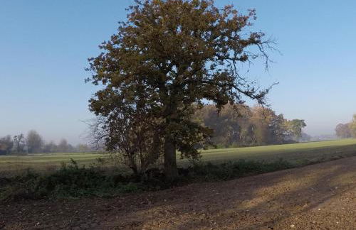 Ferienwohnung Niederrhein Blick - Foto 28