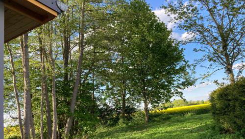 Ferienhaus Vietgest - Foto 3