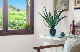 Finca RÚSTICA FELOSTAL Son Soleclau with Sauna & Pool - Foto 34