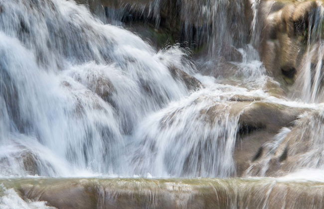 Tour de Bob Marley + Cascadas del río Dunn - Foto 1