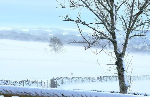 The Vogue Lodge - Photo 7