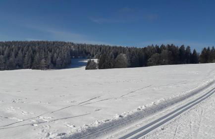 Ferienwohnung Schlossblick - Foto 30