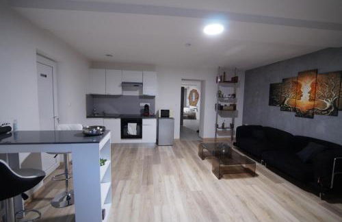 Appart' spa privatif Gray - Foto 13