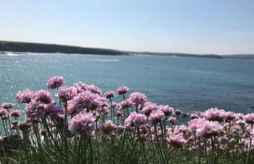 The Moorings - Just a few metres from the sea! - Photo 18