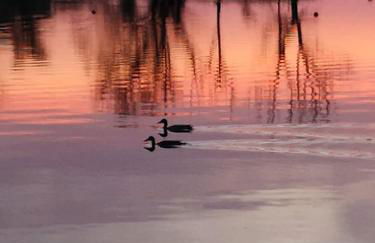 Ferienhäuser Pannier I und oder II - Foto 17