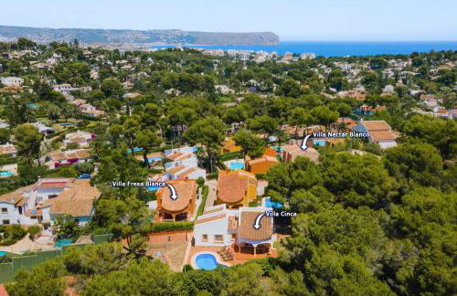 Villa Cinca by Villa Plus - Foto 14