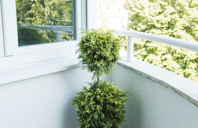 Apartment Ella - Photo 44