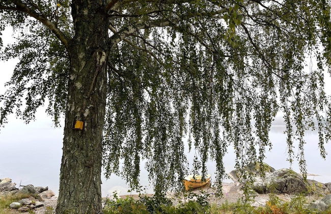 4 Star Holiday Home in Amal - Photo 39