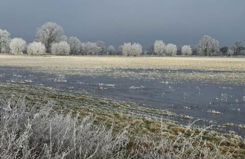 Holiday Home Havel-Domizil by Interhome - Foto 30