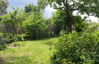 Maison avec jardin Orléans métropole - Photo 45