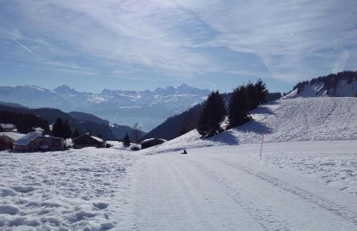 Les Terrasses du Mont blanc - Foto 11