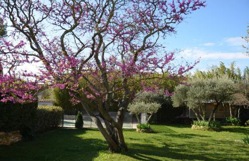 Les treilles de Provence, Gîte Le muscat - Foto 7