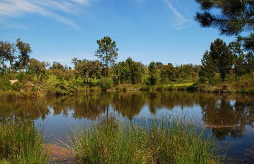 Monte Do Areeiro - Foto 10