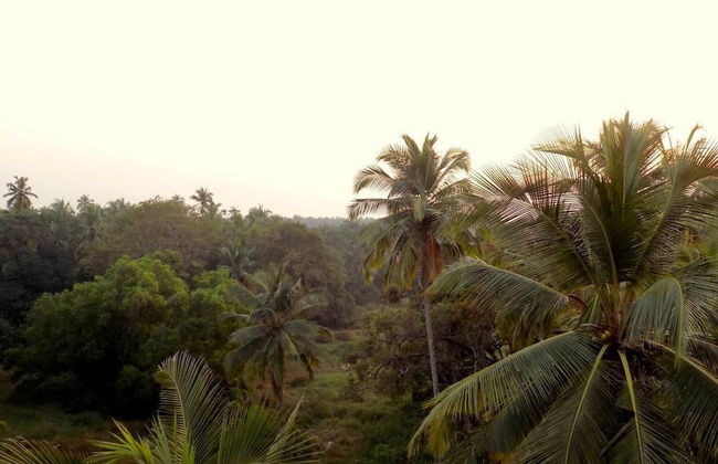 CasaMelhor Elegant Apart Arpora CM077 - Photo 16