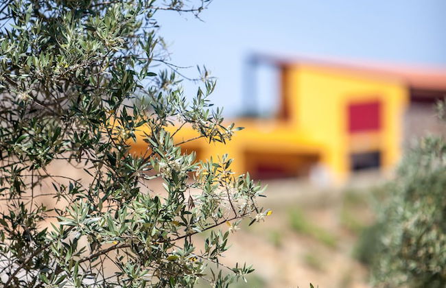 Monte da Esperança - Foto 30