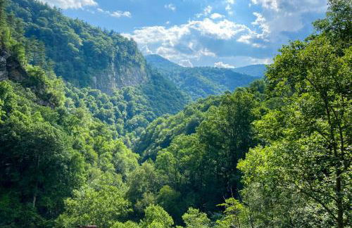 Chalet at Peek's Creek - Foto 32