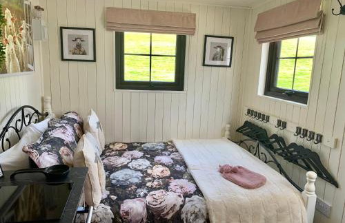 Little Bo Peep - Foto 35