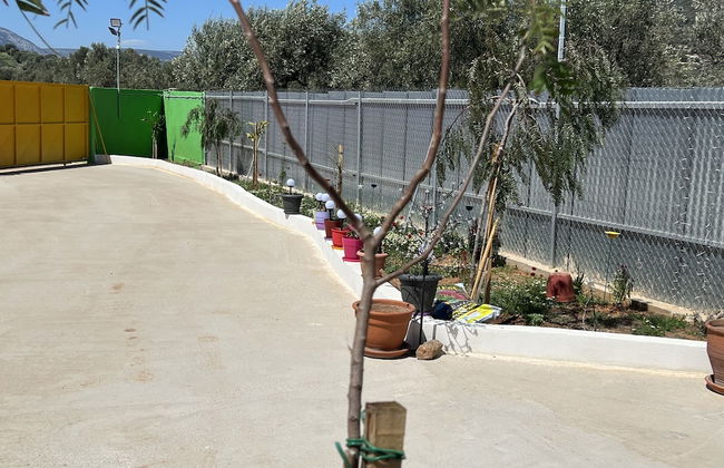 Ecological Studio Flat in Kalyvia Thorikou, Greece - Foto 19