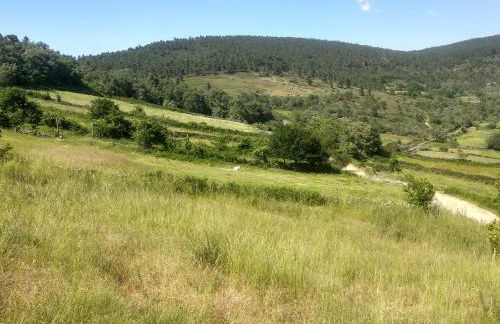 Casa do Carvalho - Foto 26