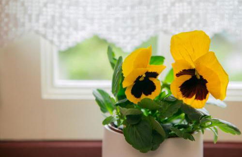 Casa da Obrinha - Foto 16