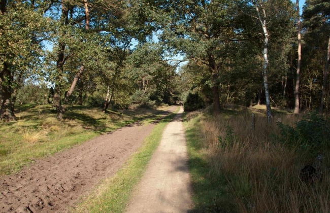 Holiday Home in Haaksbergen by Lake - Photo 27