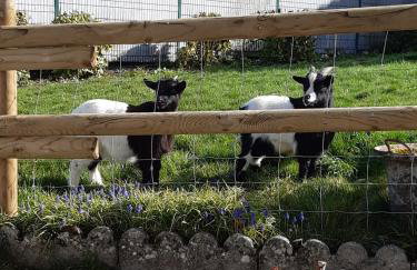 gîte au champ d'avoine - Foto 3