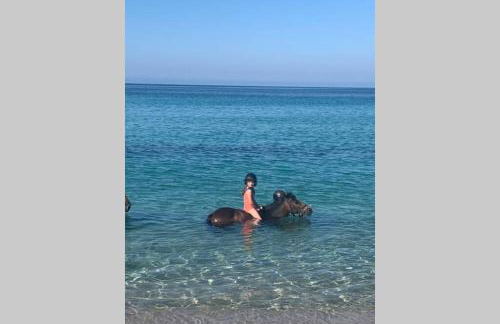 Maison typique de campagne au cœur de la nature . - Foto 6