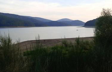 Sweet Lorica - Foto 4