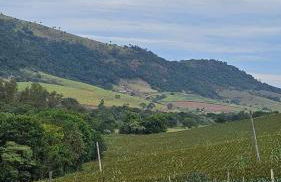 Recanto felicidade casa de vovó - Foto 16