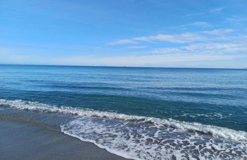 les pivoines - Foto 9