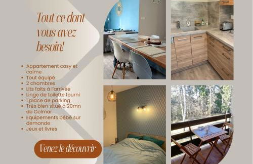 Un séjour ressourçant en Alsace entre vignes et montagnes l'Escapade Barochaise à 20mn de Colmar - Foto 6