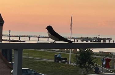 Happy Ocean View - Foto 18