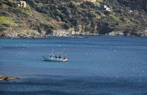 LikoremaView - Photo 38