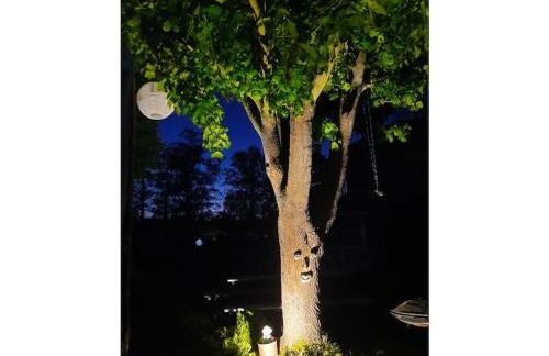 Villa Romantica Lenzen - Foto 17