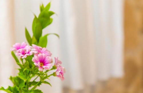 Asmani Apartments - Foto 15