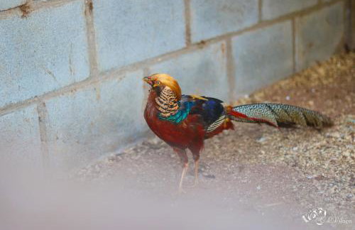 Pousada e Restaurante Victórios - Photo 17